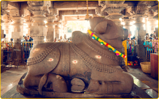 Temple Gallery Image 4