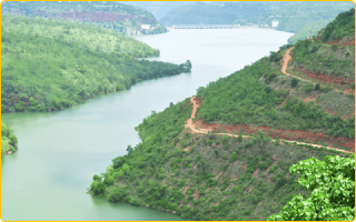 Temple Gallery Image 3